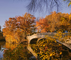 Central Park The Lake New York