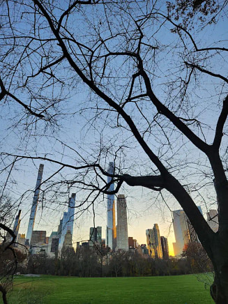 Der New Yorker Central Park im Winter